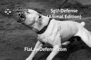 The Art of Legal Defense - Animal Edition