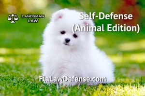 The Art of Legal Defense - Animal Edition