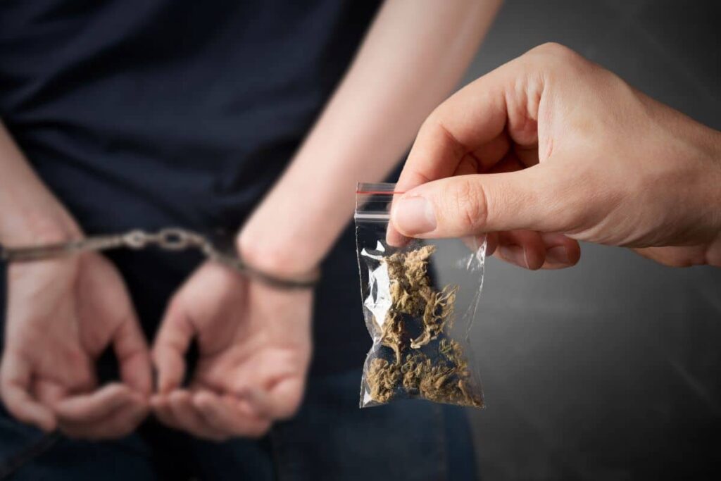 Gainesville Marijuana Possession Defense