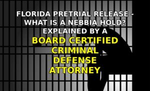 Florida Pretrial Release - What is a Nebbia Hold? explained at Landsman Law Blog